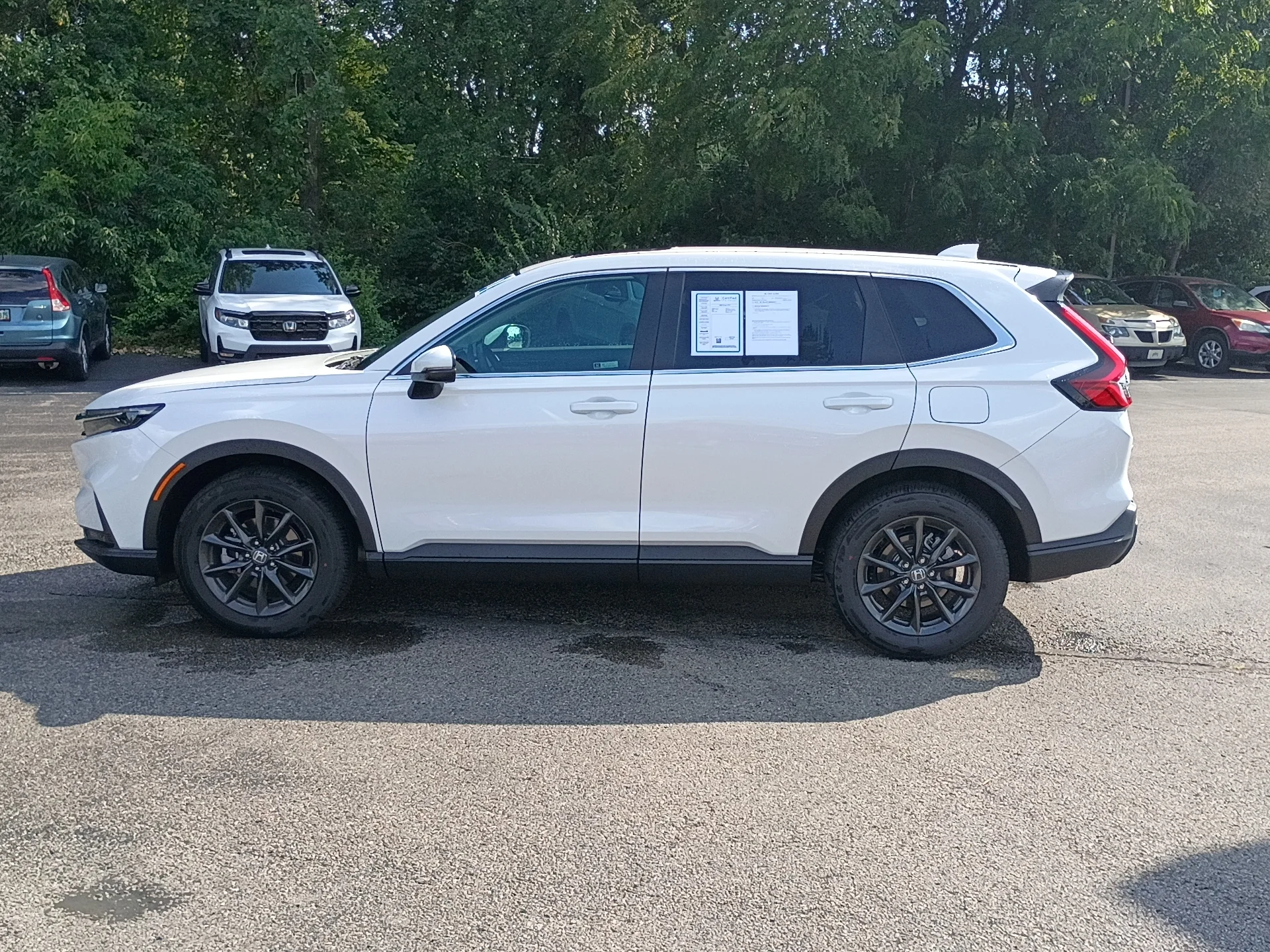 Certified Used 2026 PLATINUM WHITE Honda EX-L image 6