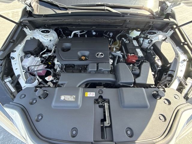 Used 2025 White Lexus 250 Premium image 27