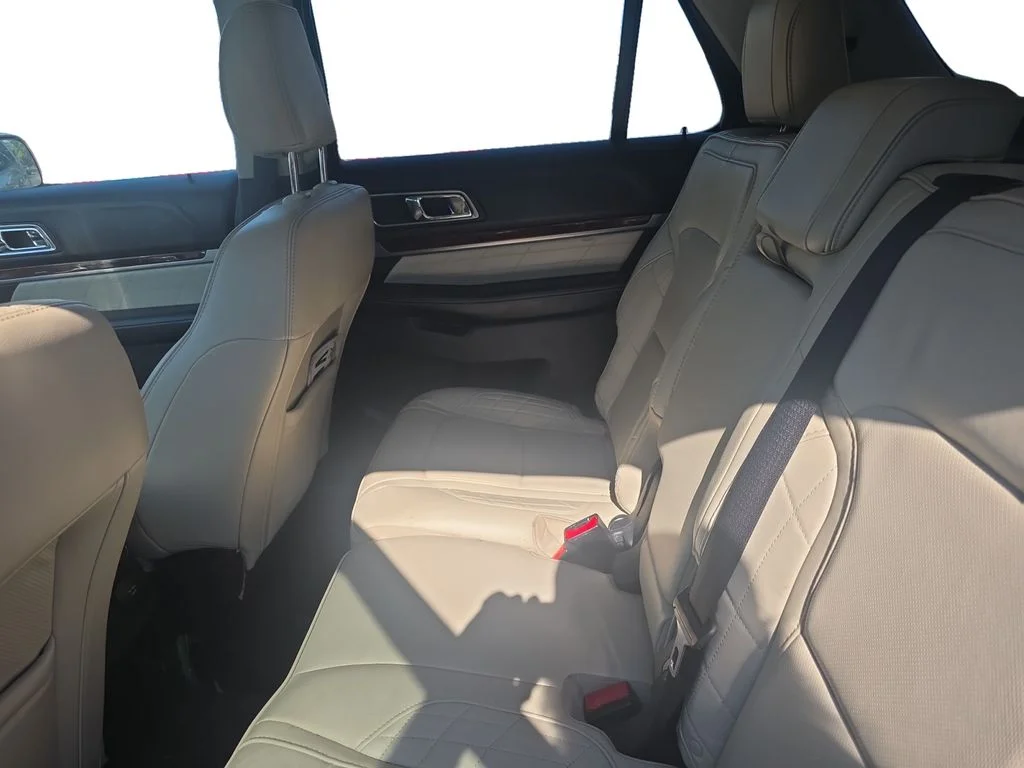 Used 2018 Silver Ford Platinum image 22