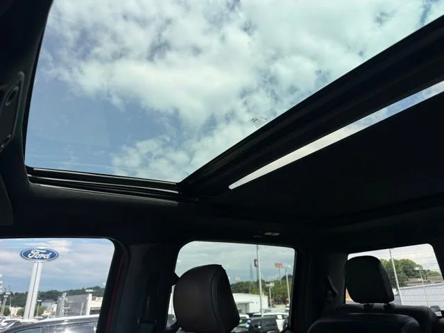 Used 2015 Red Ford Platinum image 34
