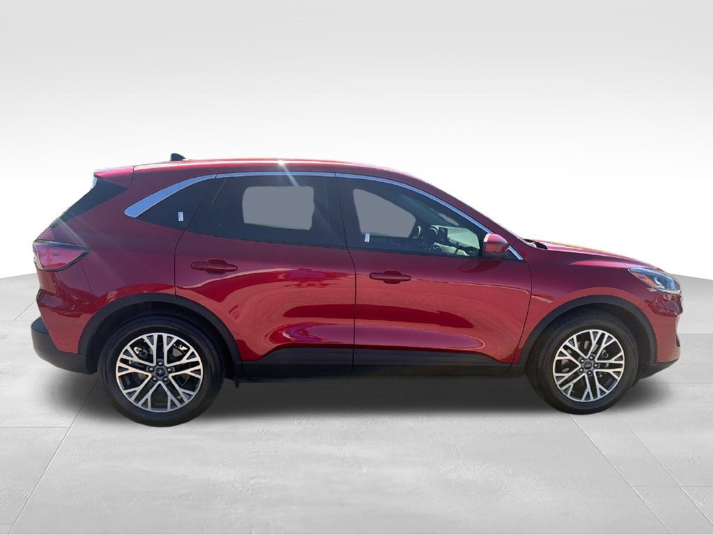 Used 2022 Red Ford SEL image 6