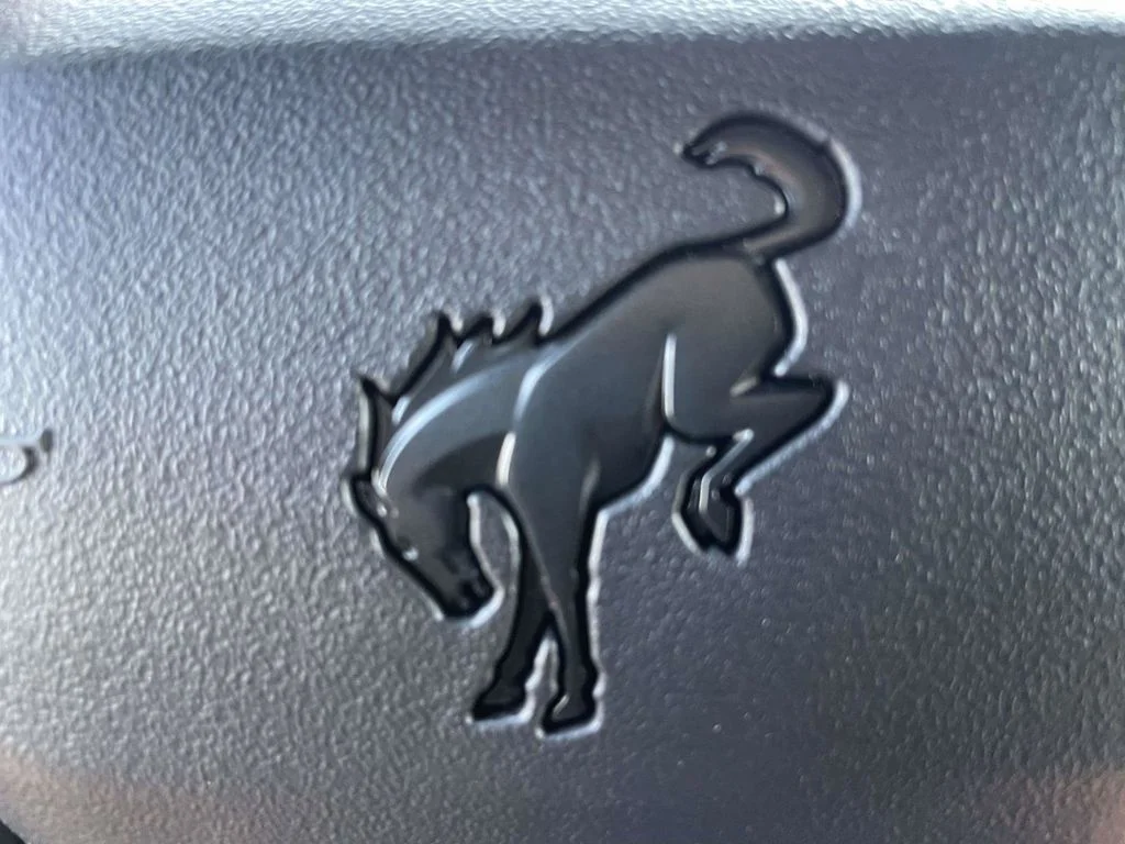 New 2026 Shadow Black Ford Raptor image 24