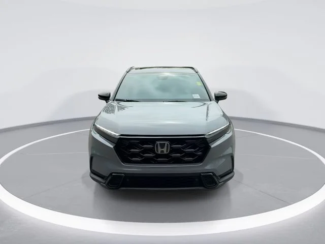 Used 2025  Honda Sport-L image 3