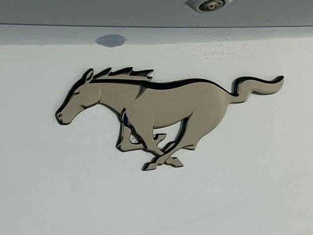 New 2026 Ford Mustang EcoBoost