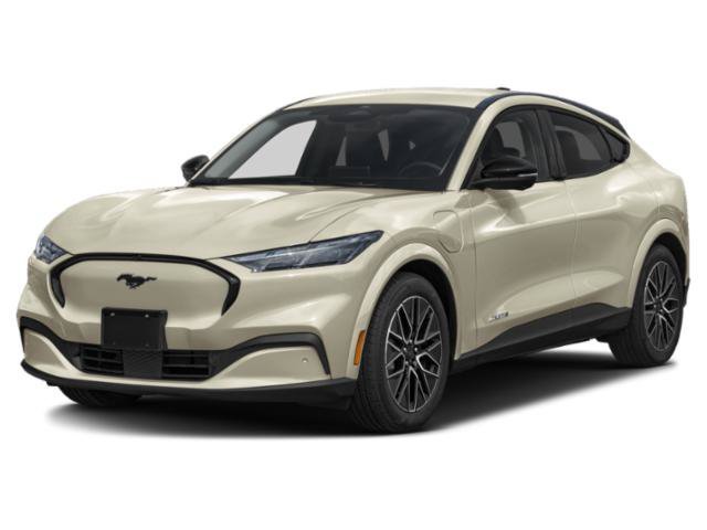 New 2026 Shadow Black Ford Premium image 1