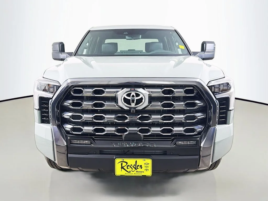 New 2026  Toyota Platinum image 2
