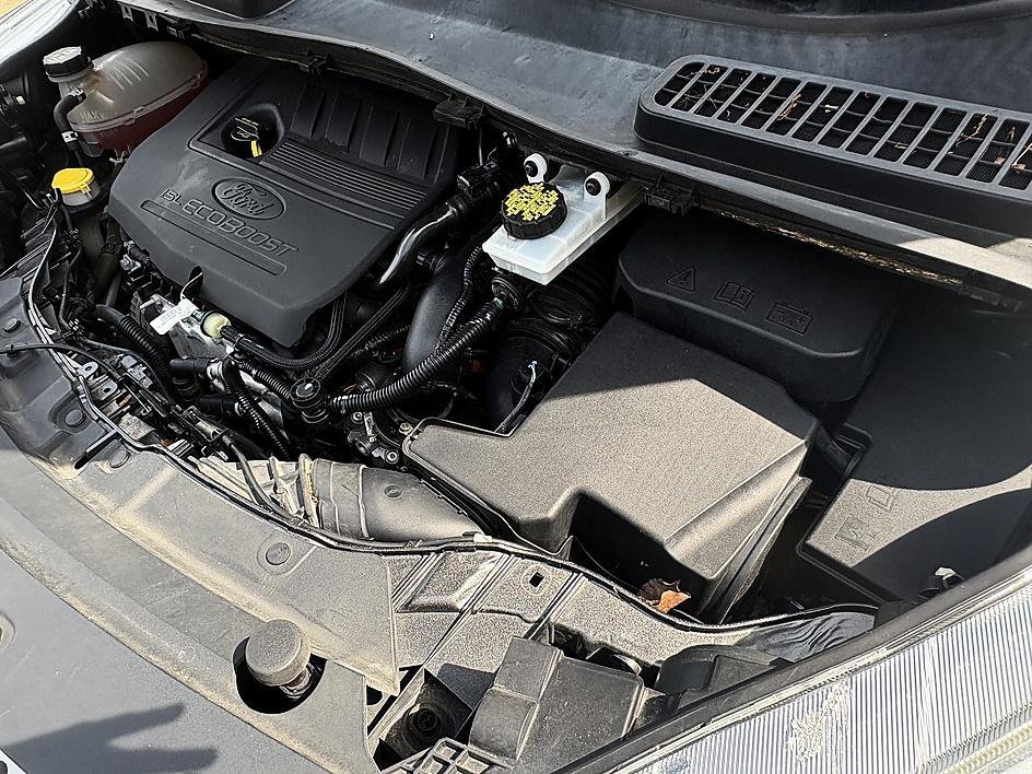 Used 2018 Magnetic Ford SE image 26