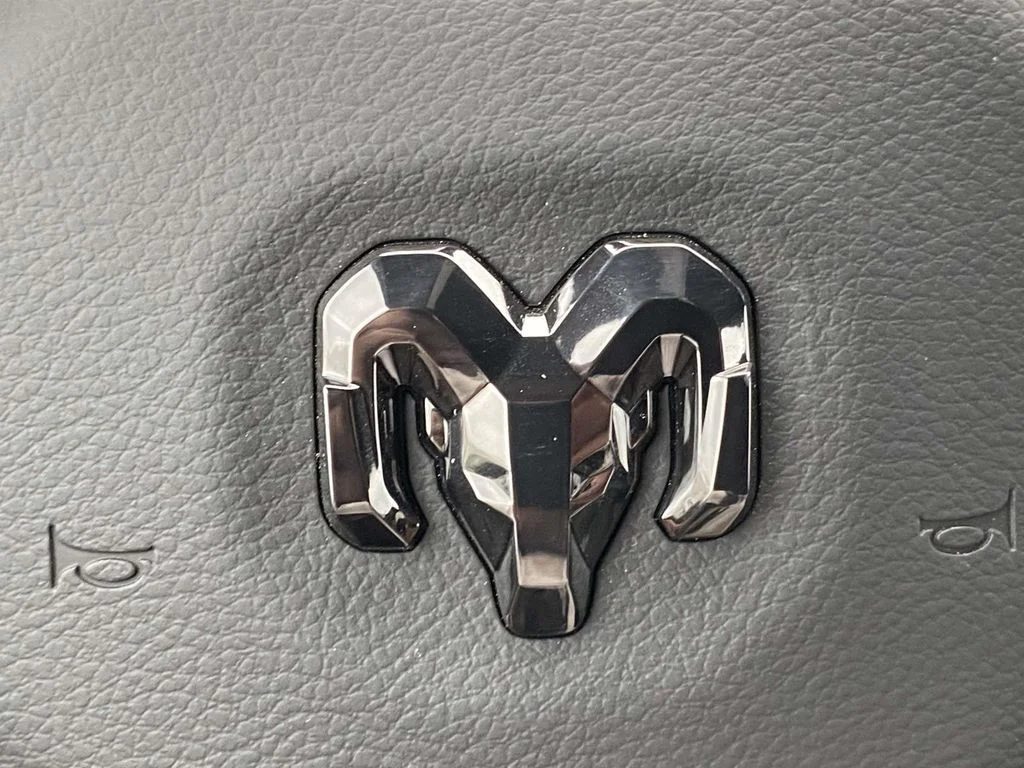 New 2026 Diamond Black Crystal Pearl-Coat Exterior Paint RAM RHO image 29