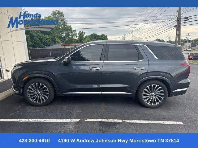 2024 Hyundai Palisade Calligraphy AWD's photo