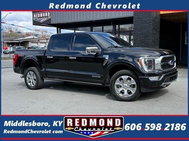 2023 Ford F-150 Platinum