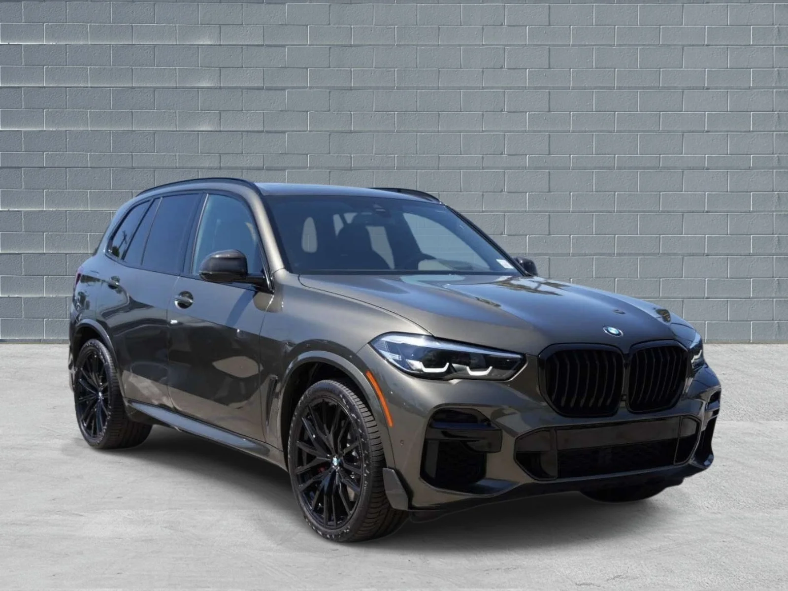 2023 BMW X5 sDrive40i's photo