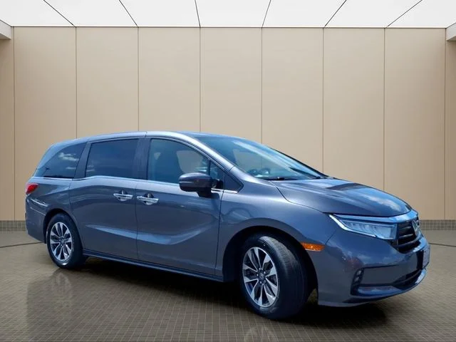 Used 2024 Gray Honda EX-L image 5