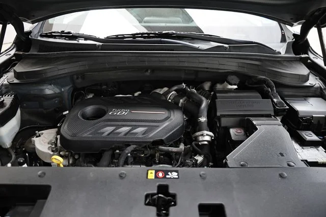 Used 2019 Rainforest Hyundai Limited image 32