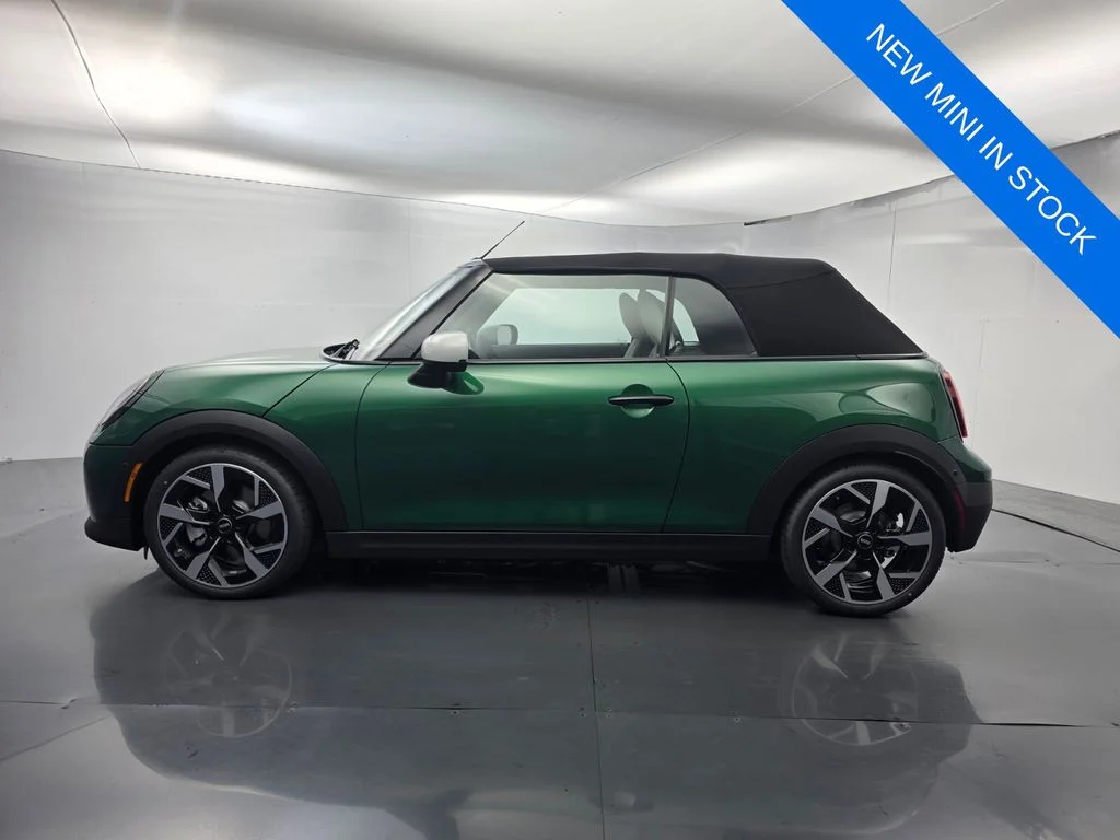 New 2026 Green MINI Signature Plus image 8