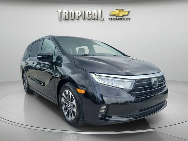 Used 2024 Black Honda EX-L image 4