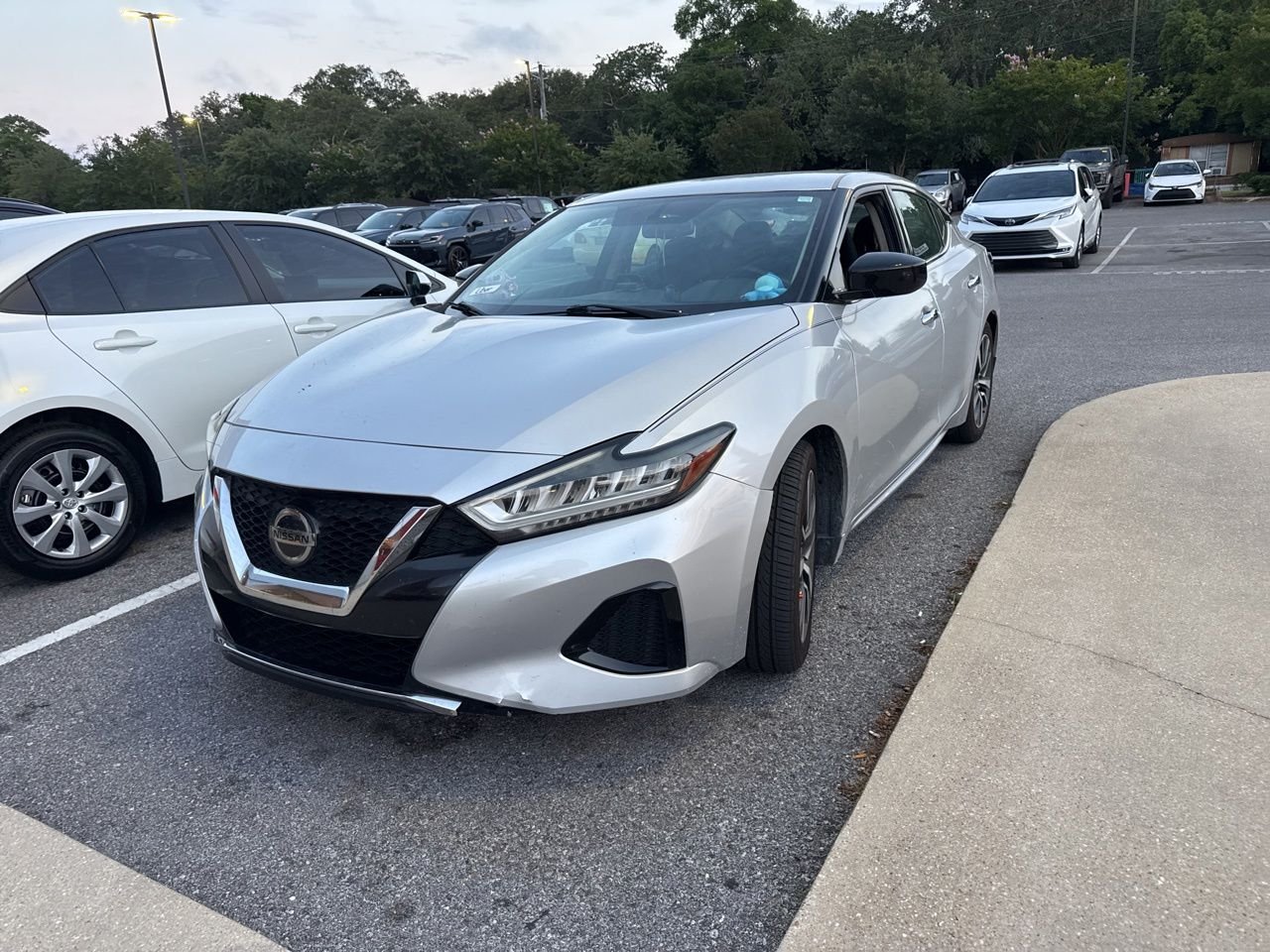 2019 Nissan Maxima S's photo