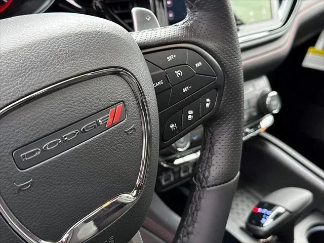 New 2026 Diamond Black Clear-Coat Exterior Paint Dodge GT PLUS image 21