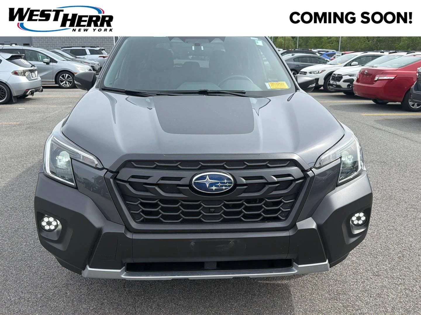 Used 2024 Magnetite Gray Metallic Subaru Wilderness image 1