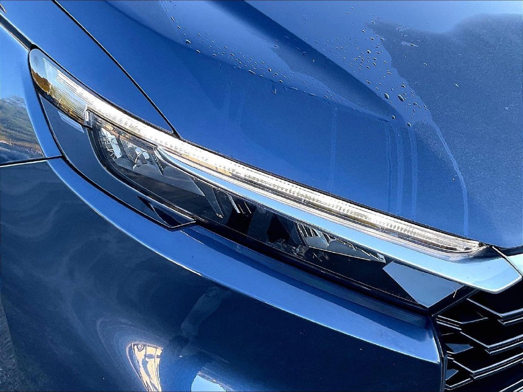 Used 2024 Blue Honda LX image 31