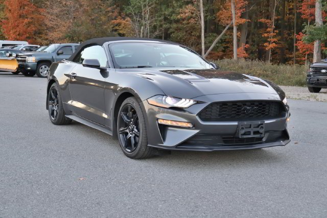 Used 2019 Gray Ford EcoBoost image 7