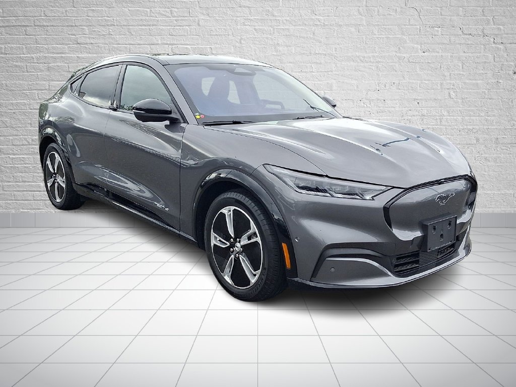 Used 2023 Gray Ford Premium image 3