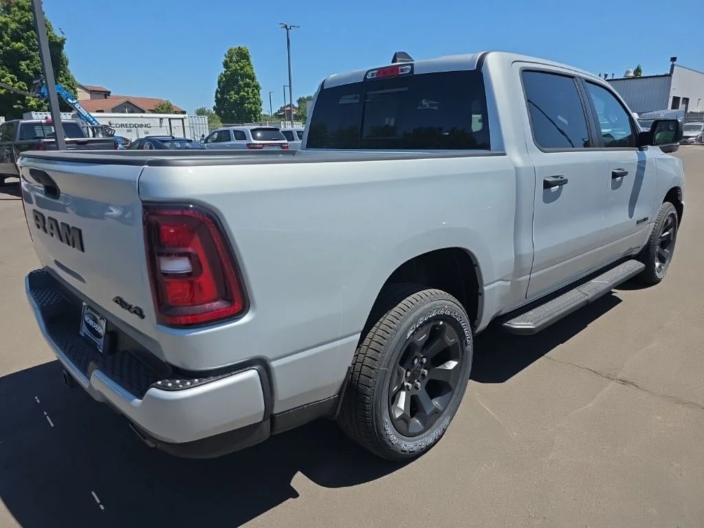 New 2026 Silver Zynith Exterior Paint RAM Express image 5