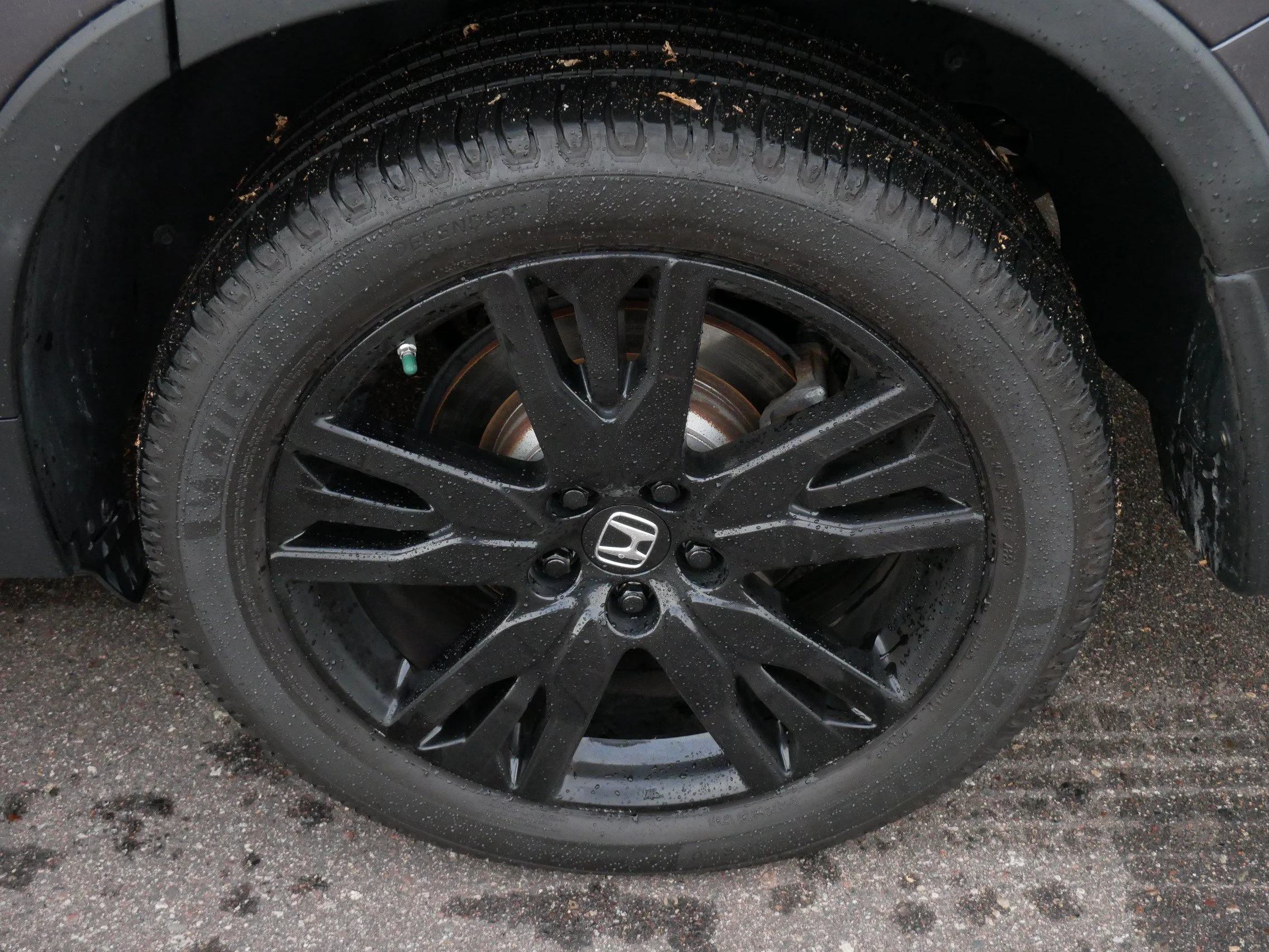 Photo 15