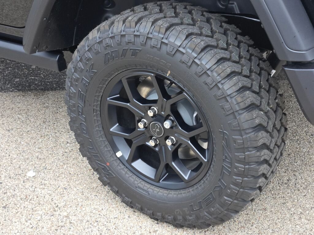 New 2026 Black Clear-Coat Exterior Paint Jeep Willys image 14