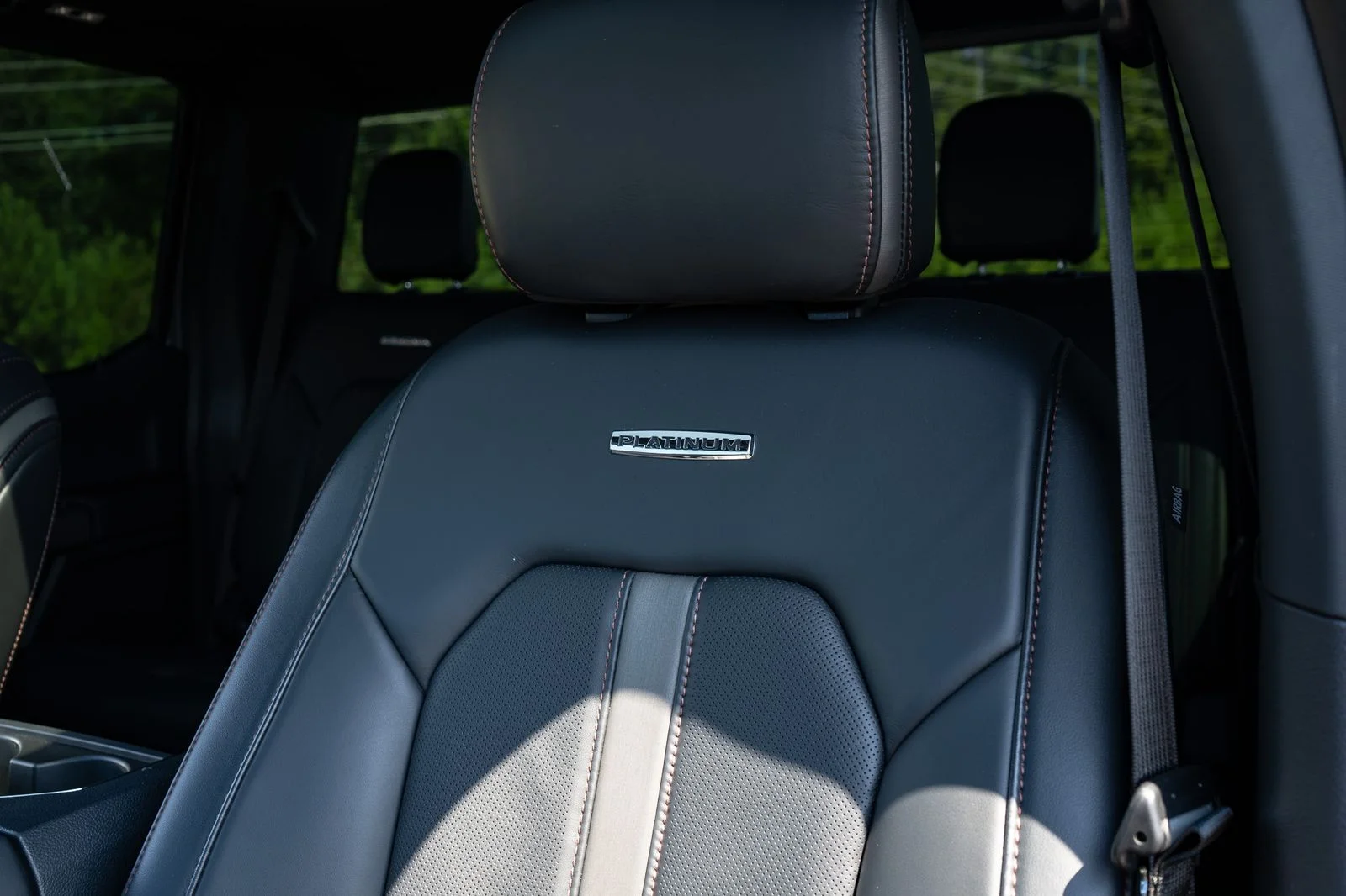 Used 2022 Gray Ford Platinum image 33