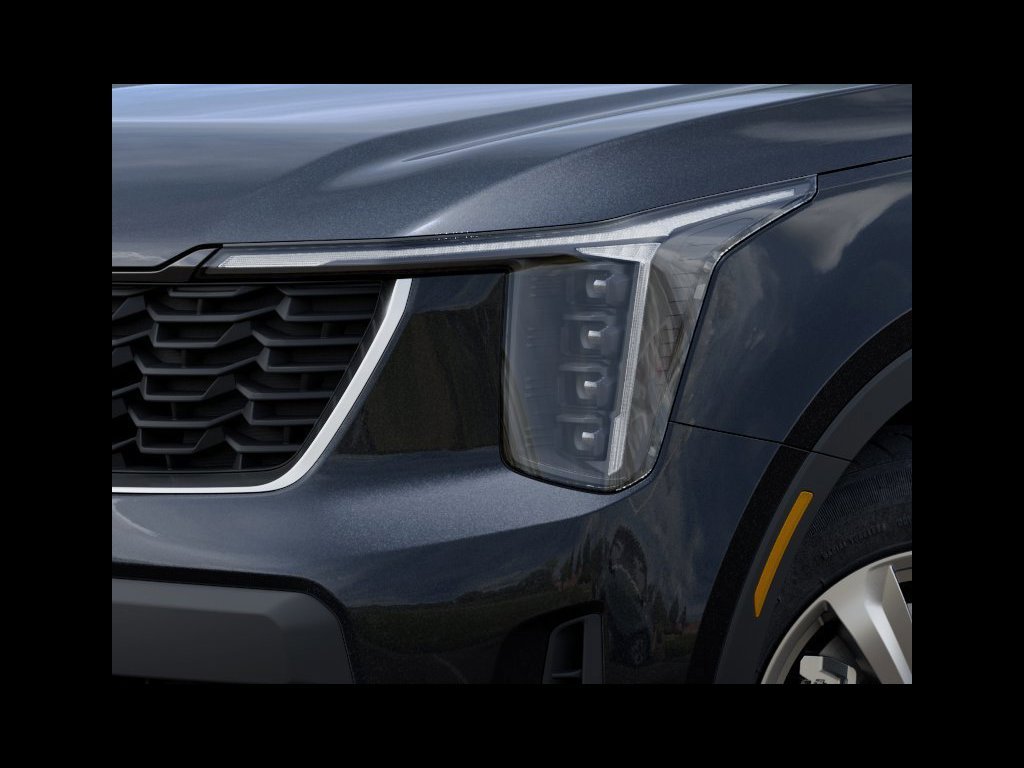 New 2026 Panthera Metal Kia LX image 10
