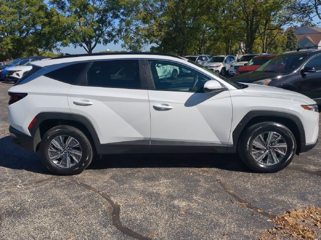 Used 2024 White Hyundai Blue image 8