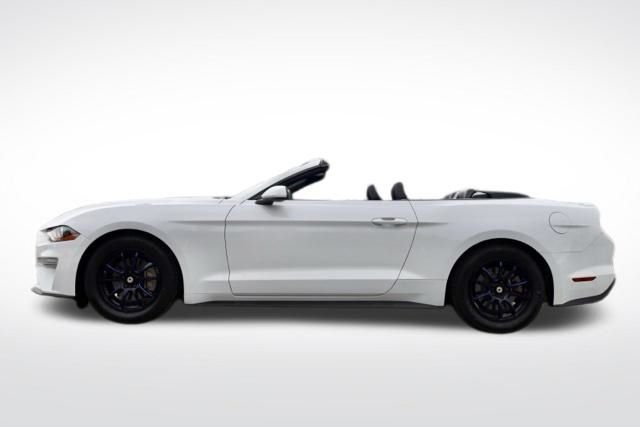 Used 2021 Oxford White Ford EcoBoost Premium image 9