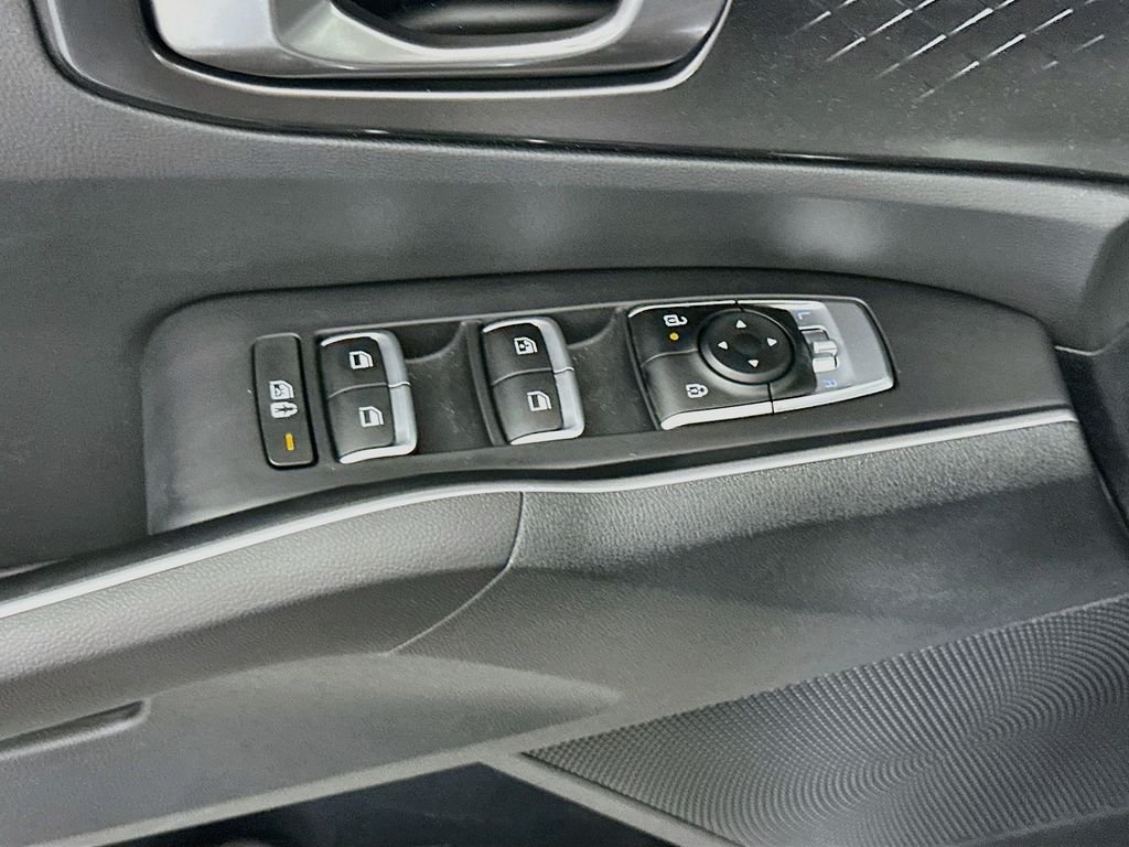 Used 2025 Panthera Metal Kia EX image 19