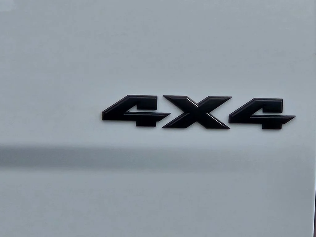 Used 2019 White Ram Warlock image 5