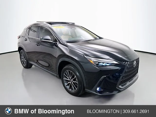 2025 Lexus NX 350 Luxury