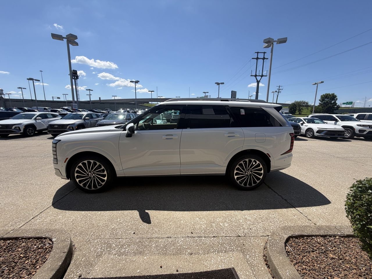 New 2026 Creamy White Pearl Hyundai Calligraphy image 16