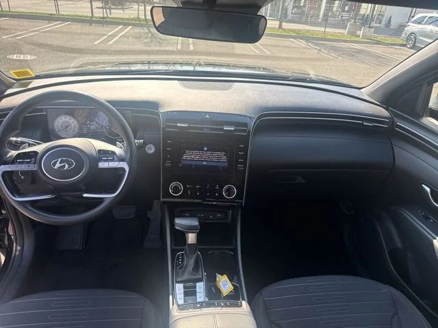 View 15