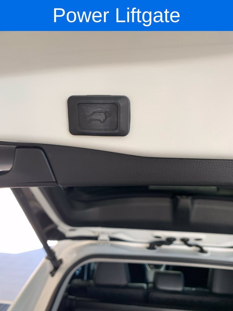 2024 Toyota RAV4 XLE Premium - Photo 14