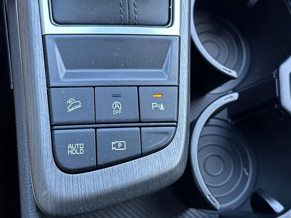 New 2026 Black Kia X-Line image 31