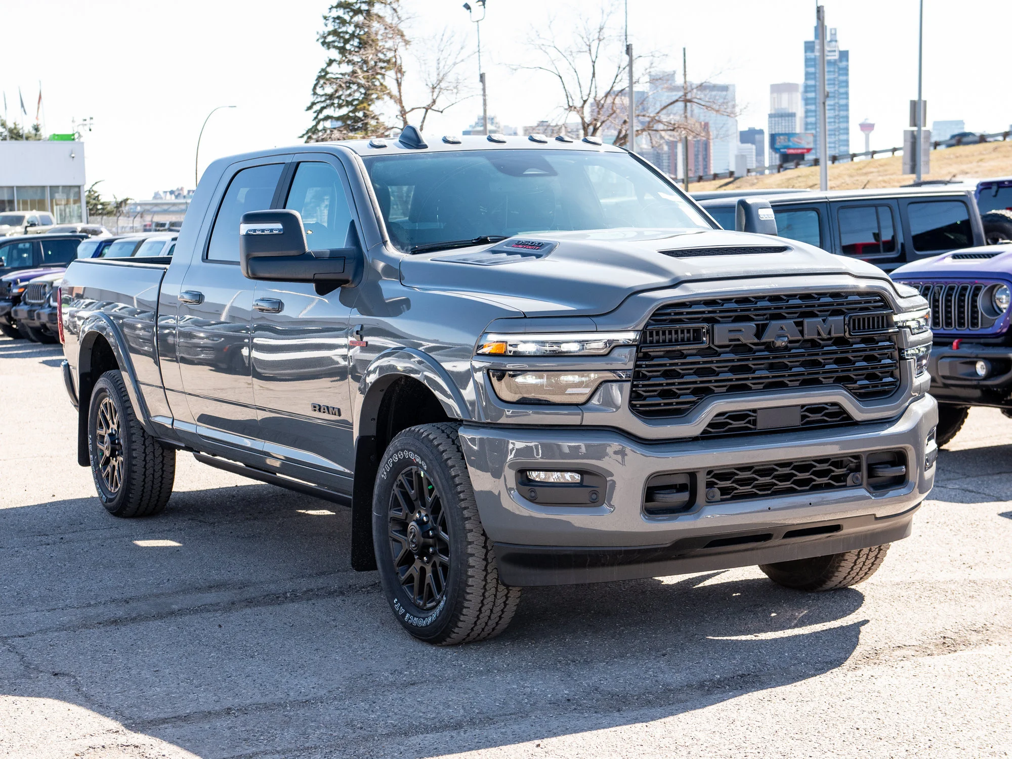 New 2026 Grey RAM Limited* image 9