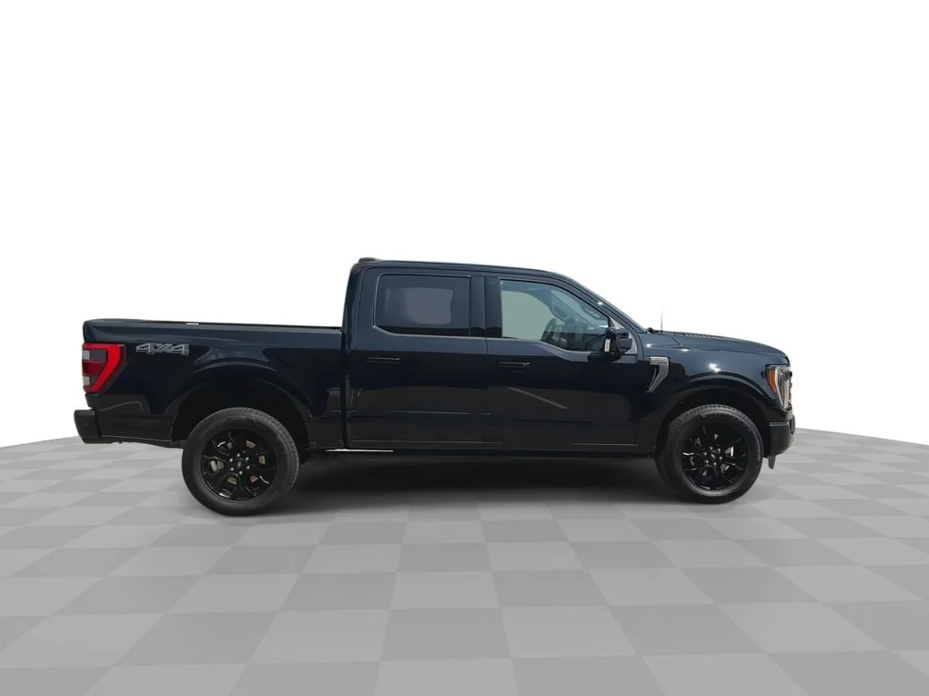 Used 2023 Black Ford Platinum image 9
