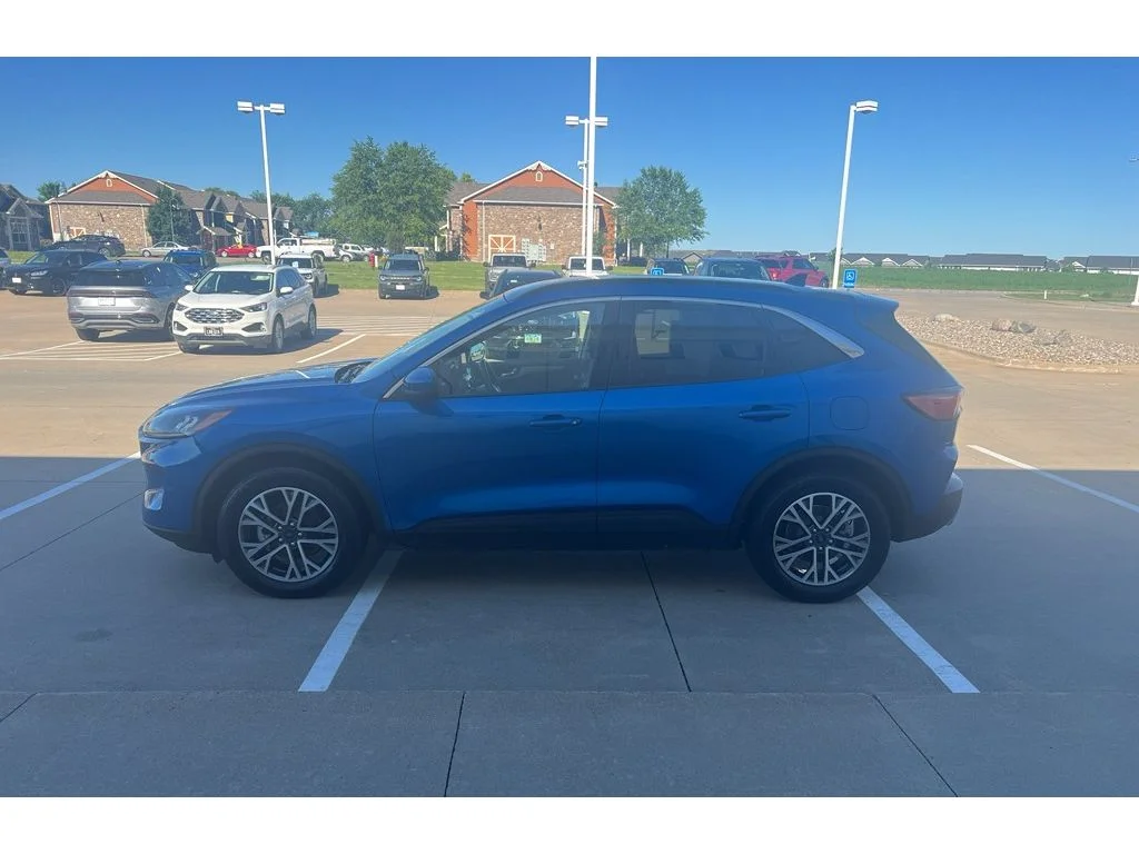 Used 2020 Velocity Blue Metallic Ford SEL image 5