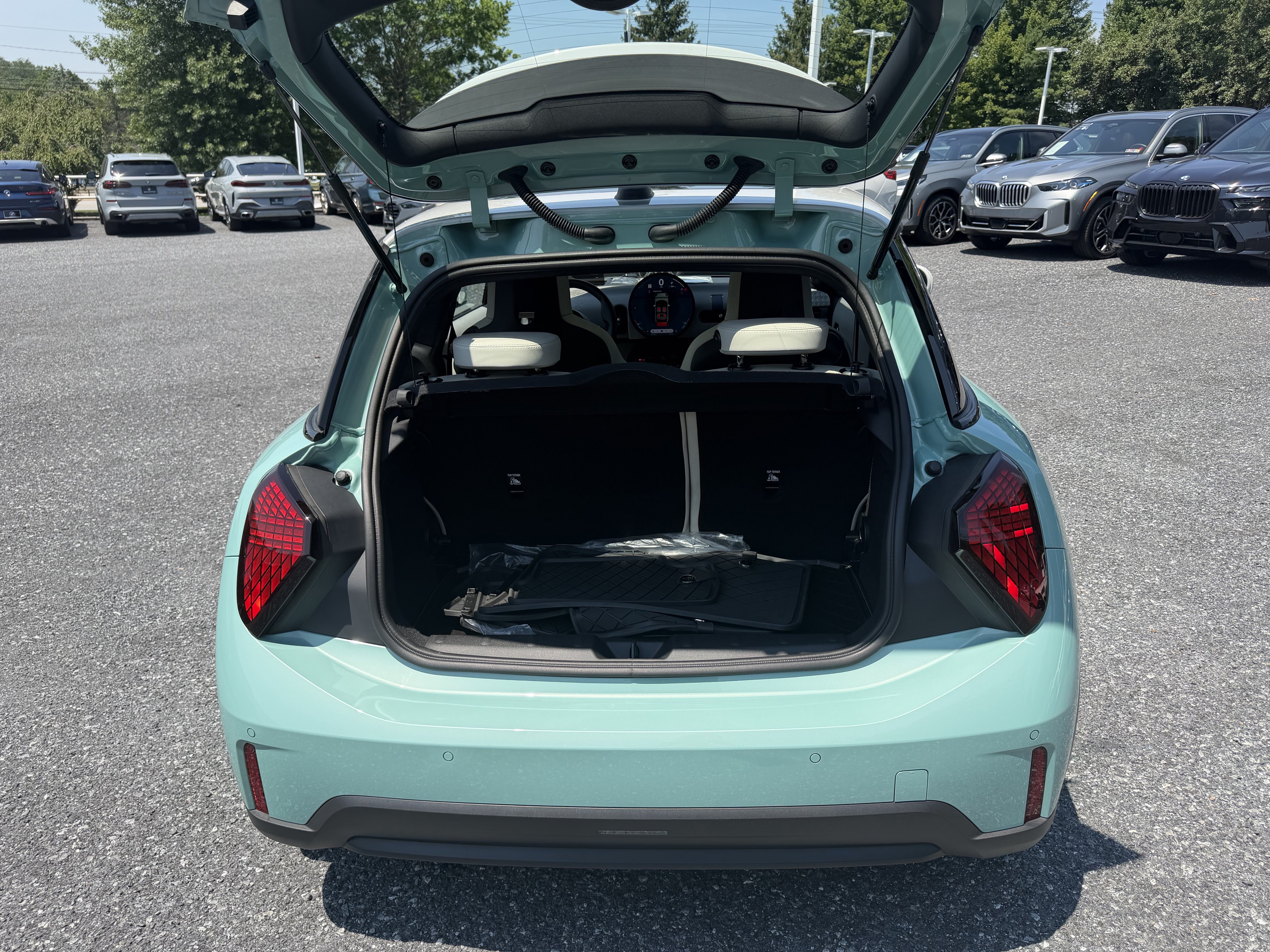 Used 2026 OCEAN WAVE GREEN MINI Base image 7