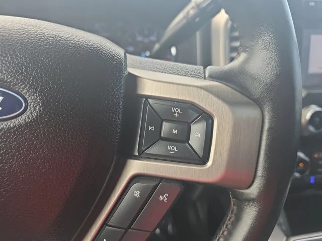 Used 2019 Black Ford Platinum image 18