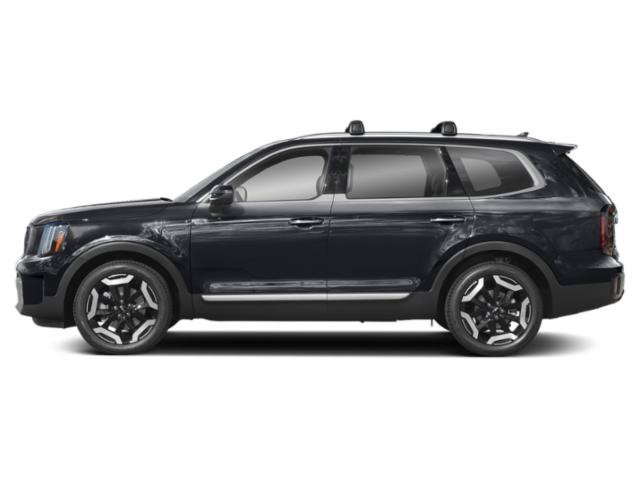Used 2025 Panthera Metal Kia EX image 3