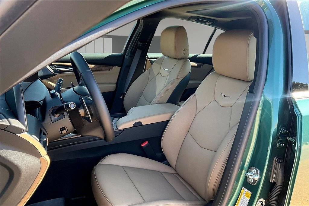 New 2026 Typhoon Metallic Cadillac Premium Luxury image 9