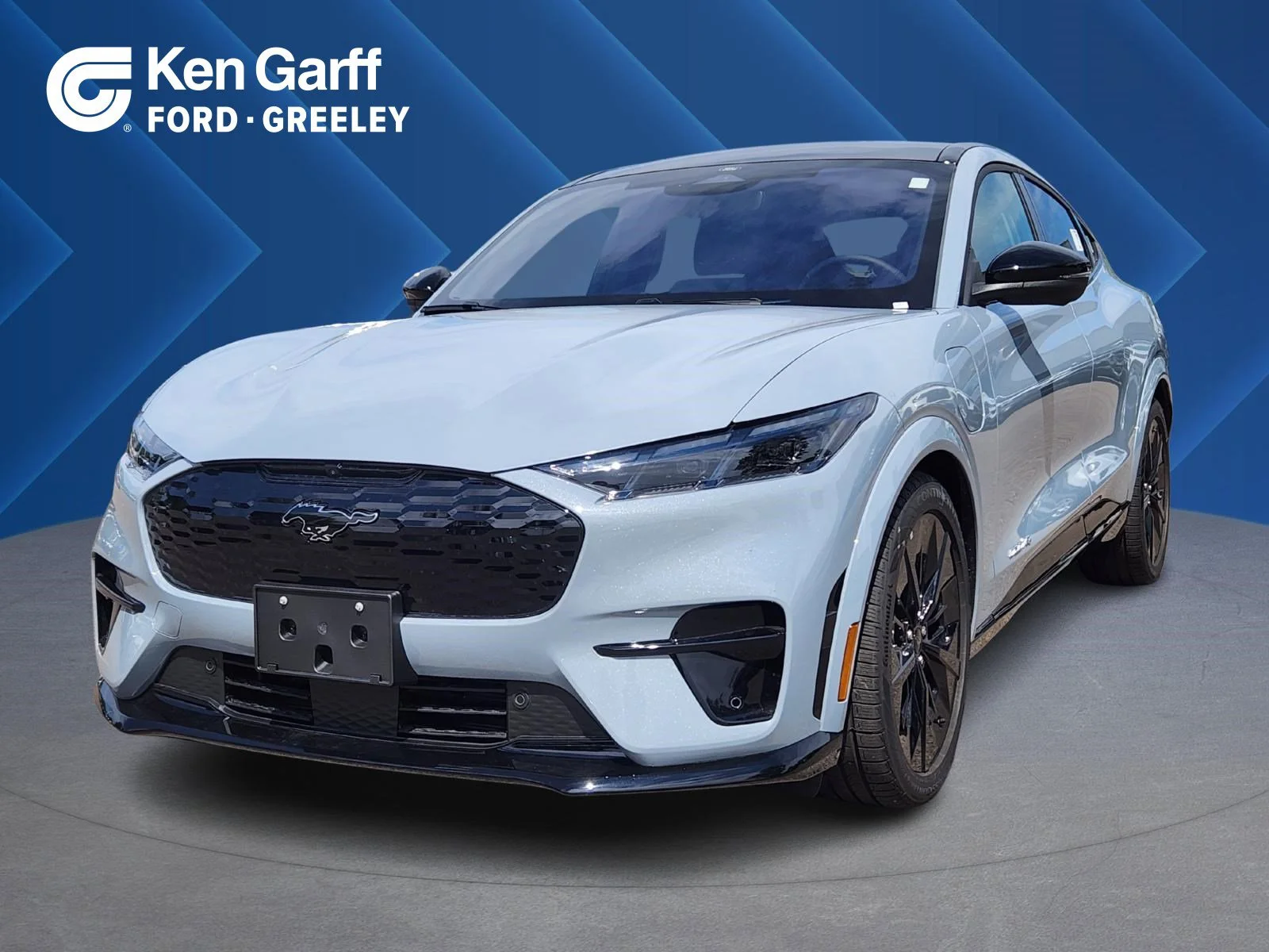 2025 Ford Mustang-Mach-e GT's photo