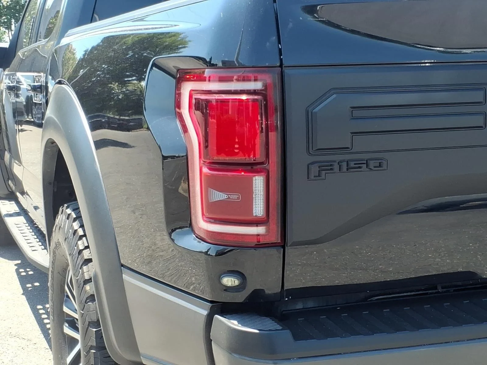Used 2019 Agate Black Metallic Ford Raptor image 18