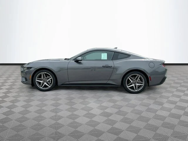 New 2026 Gray Ford EcoBoost image 3