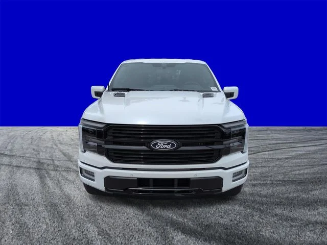 New 2026 White Ford Platinum image 9